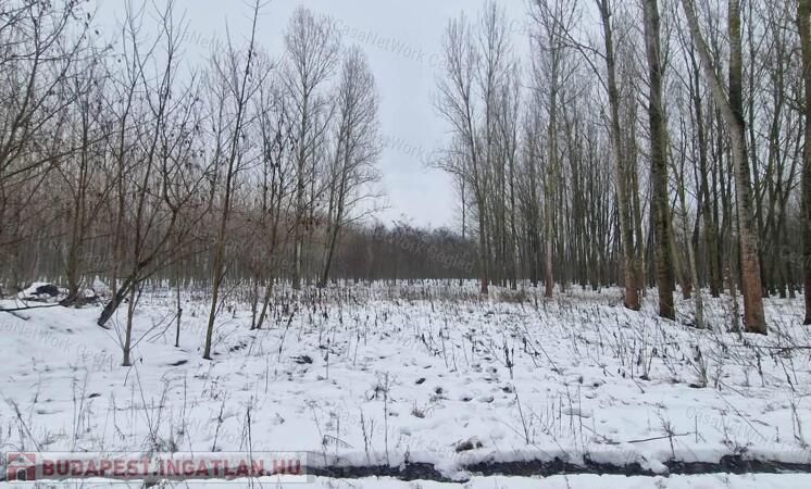 Eladó szántó Cegléden, az Ugyeri dűlőben                                 