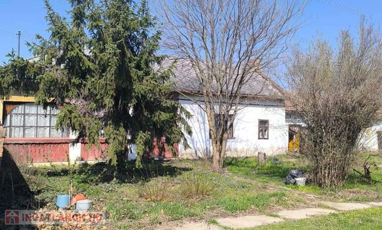 Cibakháza központjában felújítandó családi ház nagy portával eladó