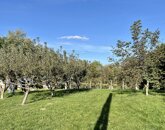 Eladó telek/földterület Kehidakustány 9 000 000 Ft