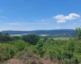 Eladó héregi zártkerti telek természetbarátoknak és nyugalomra vágyóknak