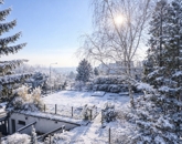 Eladó telek/földterület Budapest III. ker 285 000 000 Ft