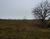 Eladó telek/földterület Zánka 79 000 000 Ft