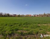 Eladó telek/földterület Deszk 25 474 800 Ft