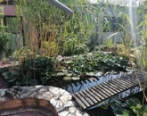 Eladó családi ház Siklós 115 000 000 Ft