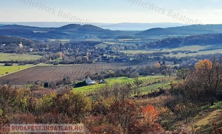 Örökpanorámás, építhető-eladó MEZŐGAZDASÁGI TERÜLET PÉCSELYEN                                 