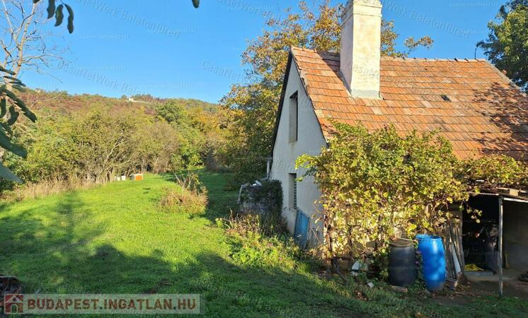 Vadregényes elbújos bővitthető Nyaraló                                 