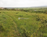 Eladó telek/földterület Szentendre 78 000 000 Ft