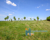 Eladó telek/földterület Telki 490 000 000 Ft