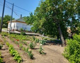 Eladó telek/földterület Üllő 28 500 000 Ft