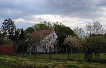 Eladó családi ház