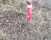 Eladó telek/földterület Szigetszentmiklós 15 000 000 Ft