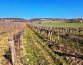 Település szélén -eladó MEZŐGAZDASÁGI TERÜLET BALATONCSICSÓN