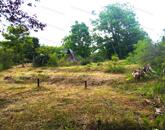 Tájvédelmi zöldövezet közelében építési telek