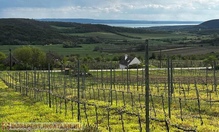 Óbudaváron ÖRÖK PANORÁMÁS zártkert eladó! 5107nm!                                 