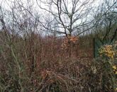 Eladó telek/földterület Verőce 18 990 000 Ft