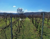 Eladó üdülő/nyaraló Zalaistvánd 19 000 000 Ft