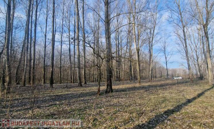 Eladó szántó Cegléden, az Ugyeri dűlőben                                 