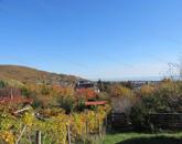 Panorámás, beleszeretős nyaraló Balatonfüreden