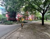 Eladó lakás Budapest XIX. ker 57 990 000 Ft