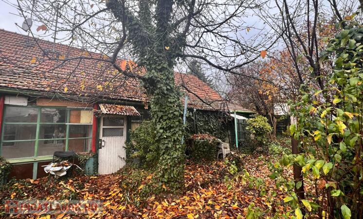 Belváros szívében