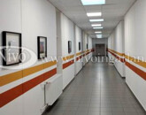 Kiadó ipari ingatlan Veszprém 72 000 Ft