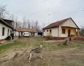 Eladó ipari ingatlan Lajosmizse 83 500 000 Ft