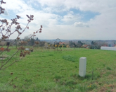 Eladó telek/földterület Cserszegtomaj 24 500 000 Ft