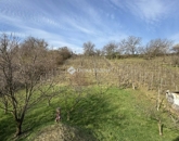 Eladó telek/földterület Pécs 16 900 000 Ft