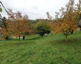 Eladó telek/földterület Zalaegerszeg 10 000 000 Ft