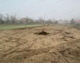 Eladó telek/földterület Táborfalva 9 700 000 Ft