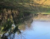 Eladó telek/földterület Hévíz 55 900 000 Ft