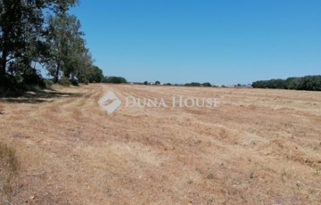 Eladó telek/földterület