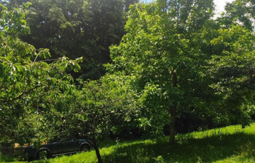 Eladó telek/földterület