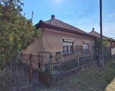 356339