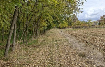 Eladó üdülő/nyaraló