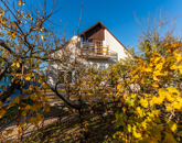 Eladó családi ház Veszprém 99 000 000 Ft