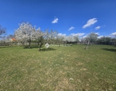 Eladó családi ház Birján 84 900 000 Ft