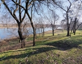 Eladó családi ház Tiszaalpár 25 490 000 Ft