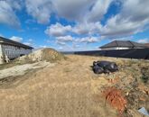 Eladó családi ház Alsónémedi 104 900 000 Ft