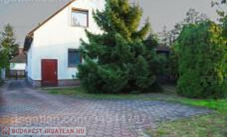 Ősfás környezeteben , tó közeli családi ház                                 