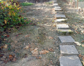 Eladó telek/földterület Szekszárd 4 747 000 Ft