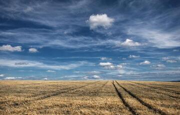 Eladó telek/földterület