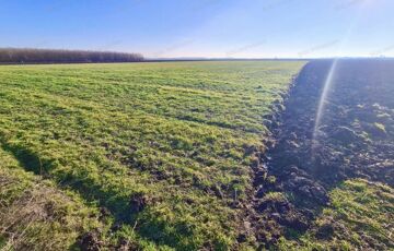 Eladó telek/földterület