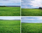 Ipari fejlesztésre alkalmas telek