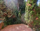 Eladó lakás Kismaros 98 000 000 Ft