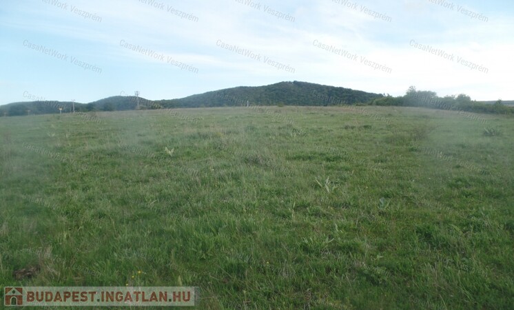 Márkói ipari ingatlan                                 