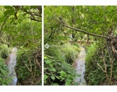 Eladó családi ház Pécs 89 900 000 Ft