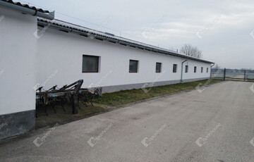 Kiadó ipari ingatlan