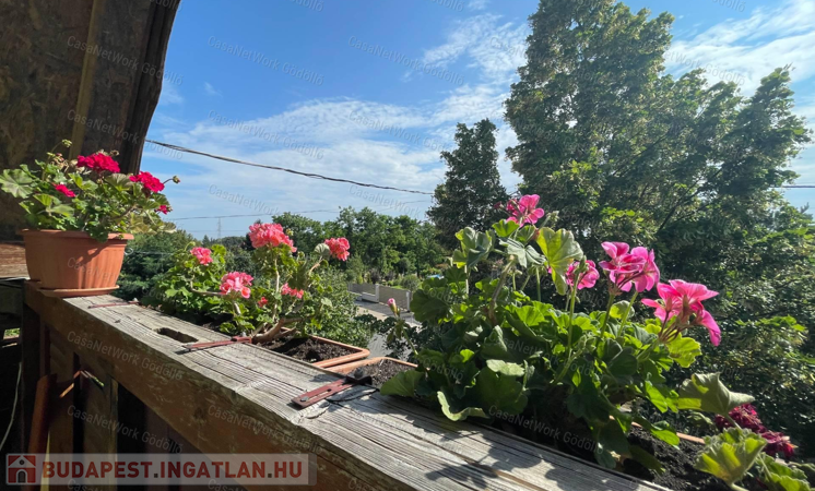 Lehetőségekben gazdag otthon                                 