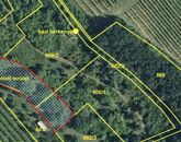 Eladó telek/földterület Balatonszőlős 85 000 000 Ft